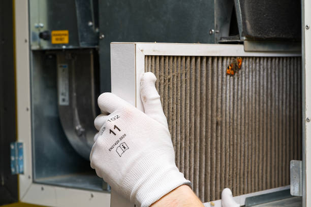 Best Affordable HVAC Duct Cleaning  in Wofford Heights, CA