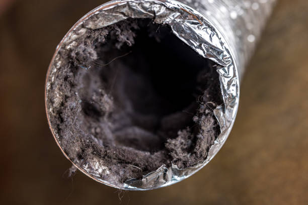 Best Best Air Duct Cleaning Company  in Wofford Heights, CA